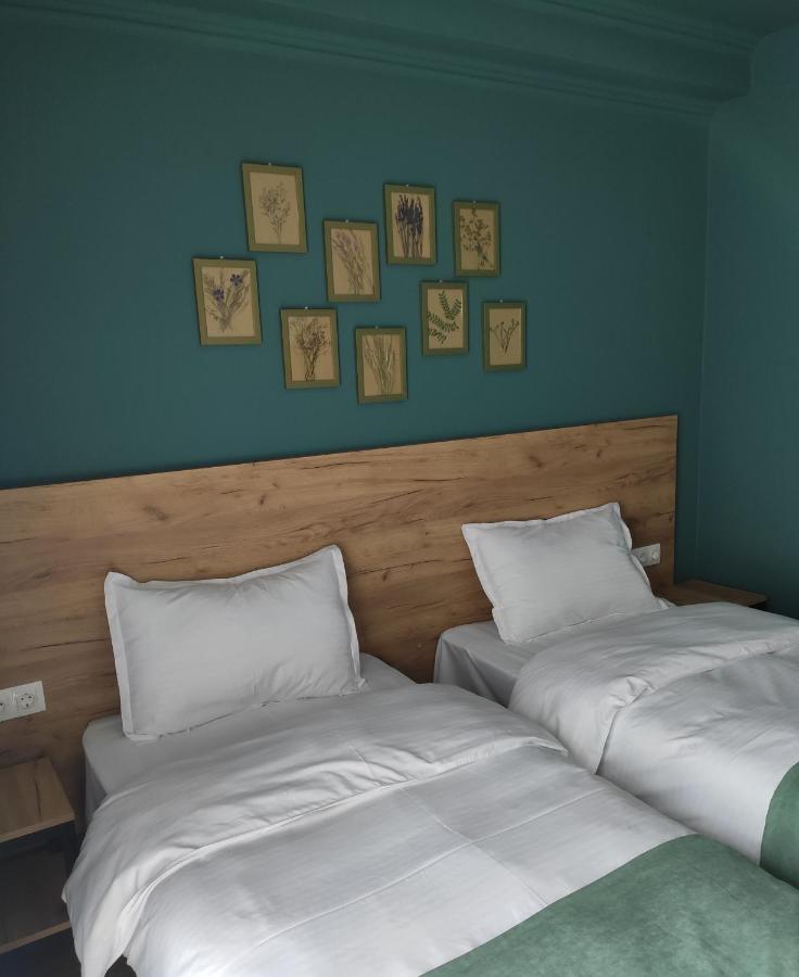 Northgate Hotel Kazbegi Екстериор снимка